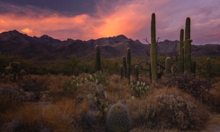 Photo Of The Day By Steven W Martin Photography