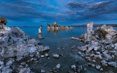 Photos Of The Day For August 2020