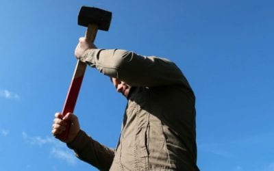 ‘Pornographic’ Fish Statues Demolished Due to Public Demand