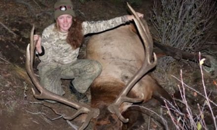 Should You Use the 6.5 Grendel for Elk Hunting?
