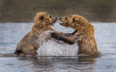 Shutter Speed Significance, Part 1: Stop The Action