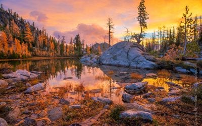 The American Landscape 2020 Contest Finalists