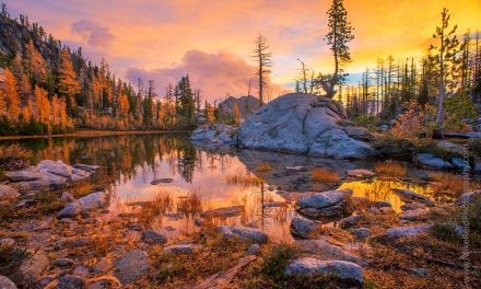 The American Landscape 2020 Contest Finalists