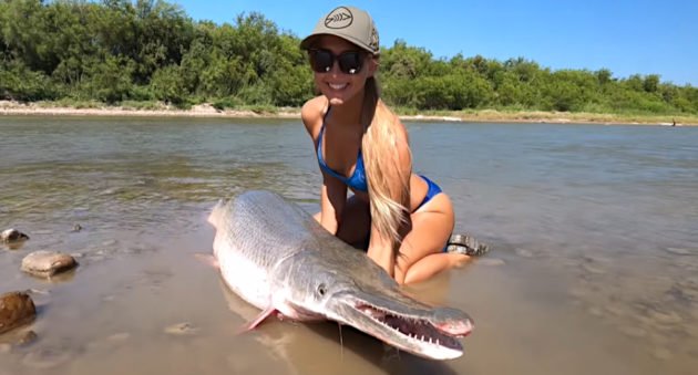 Alligator Gar