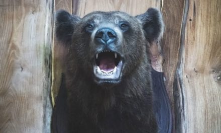 10 Most Famous Bear Hunters There Ever Were