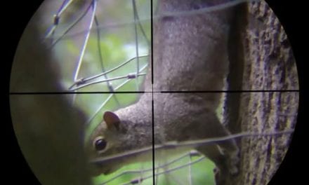 ‘Barking Squirrels,’ an Old Mountain Man Hunting Trick, Is as Cool as It Gets