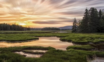 Behind The Shot: Bass Harbor Marsh Sunset