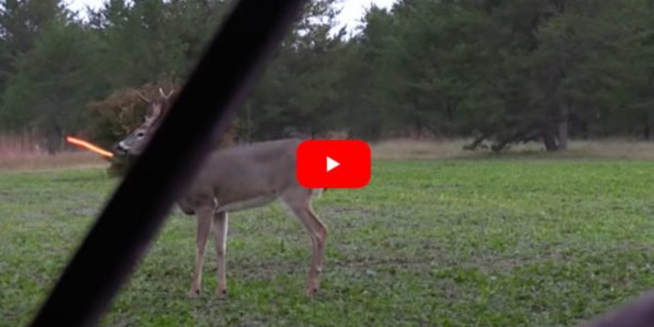 Bowhunter Grazes Buck with Non-Lethal Hit, It Returns and Gives a Second Chance