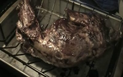 Cooking Raccoon in the Oven