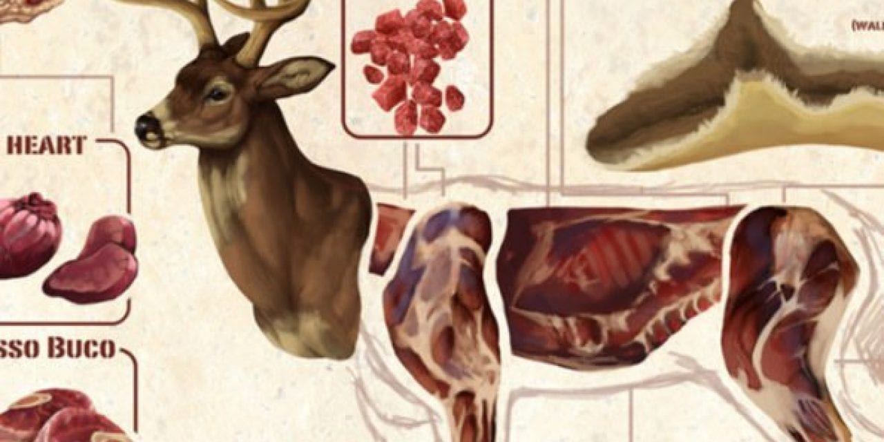 Deer Meat Guide: All the Most Common Deer Cuts and Parts