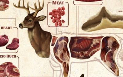 Deer Meat Guide: All the Most Common Deer Cuts and Parts