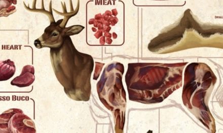 Deer Meat Guide: All the Most Common Deer Cuts and Parts