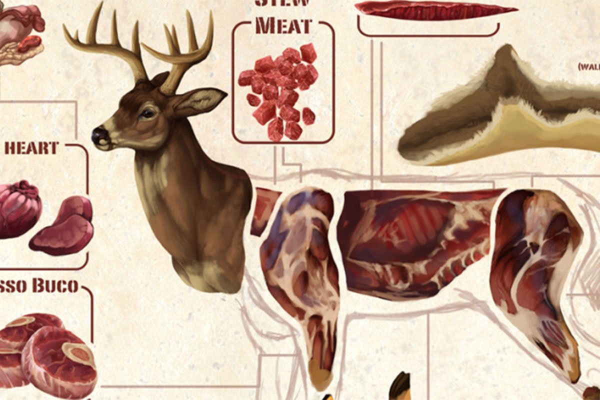 Deer Meat Guide All the Most Common Deer Cuts and Parts Outdoor
