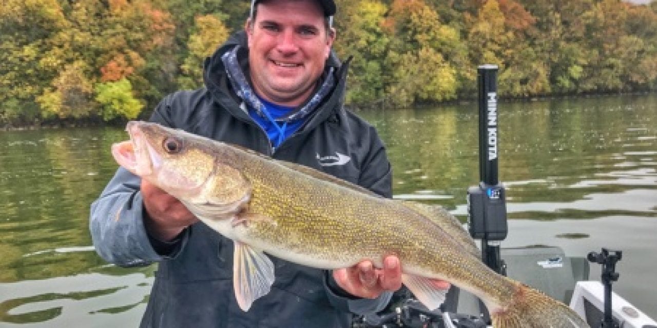 Fall Walleye on the Rocks