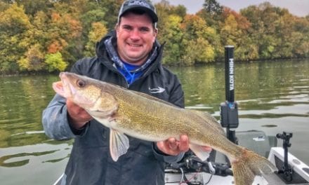 Fall Walleye on the Rocks