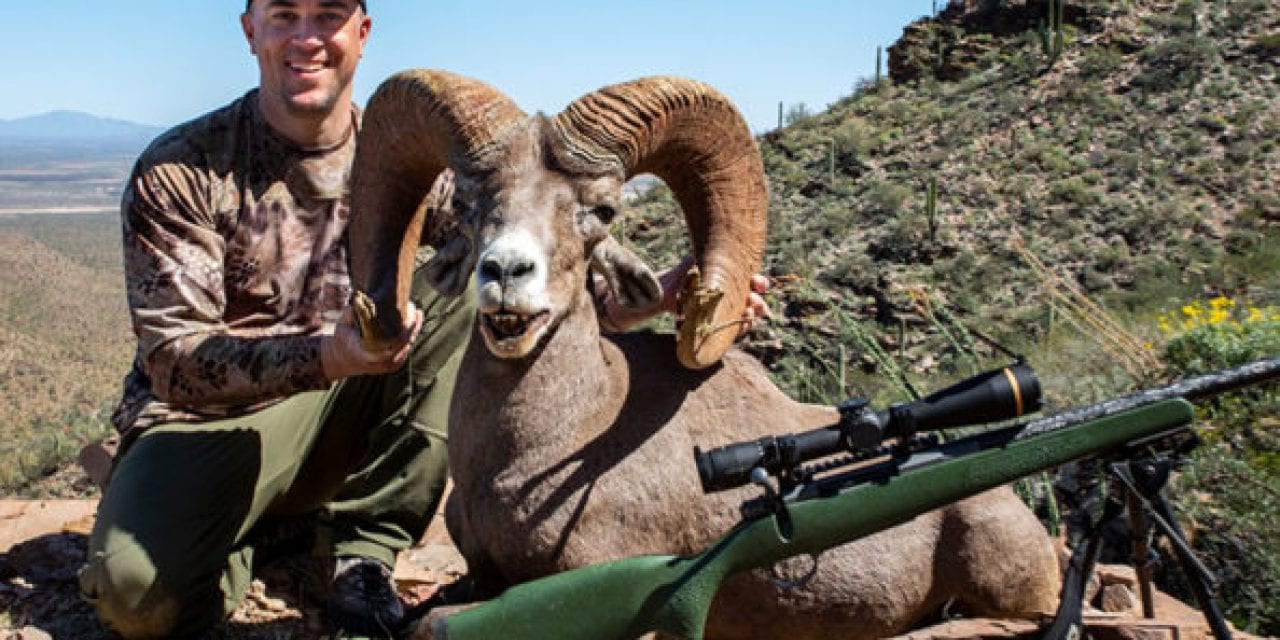 Four Sheep, Four Cartridges, One Nosler Complete North American Grand Slam