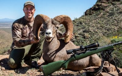 Four Sheep, Four Cartridges, One Nosler Complete North American Grand Slam