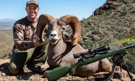 Four Sheep, Four Cartridges, One Nosler Complete North American Grand Slam