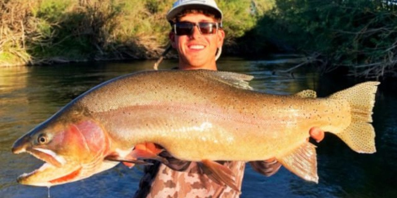 Idaho Yellowstone Cutthroat Trout Record Broken for Second Time in 2020