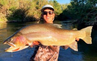 Idaho Yellowstone Cutthroat Trout Record Broken for Second Time in 2020
