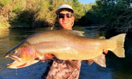 Idaho Yellowstone Cutthroat Trout Record Broken for Second Time in 2020