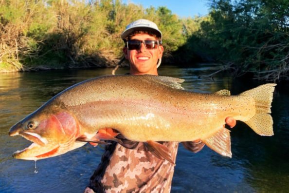 Yellowstone Cutthroat Trout Record