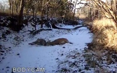 Kansas Game Warden Frees Two Locked Bucks With a Shot From His Glock