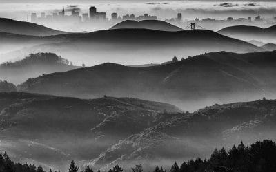 Layers Assignment Winner Gary Fua