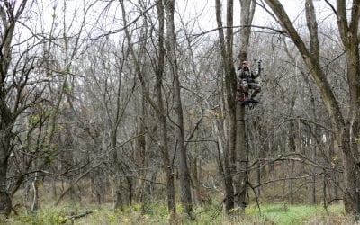 Make Safety a Priority Every Deer Season