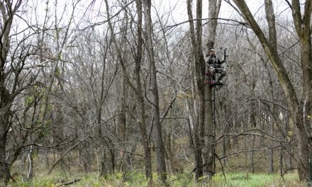 Make Safety a Priority Every Deer Season