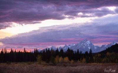 Photo Of The Day By Brynn Schmidt