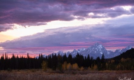 Photo Of The Day By Brynn Schmidt