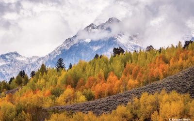 Photo Of The Day By Kristen Ryan