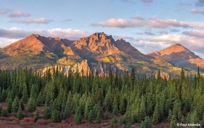 Photo Of The Day By Paul Kolenda