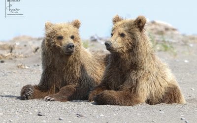 Photos Of The Day For September 2020