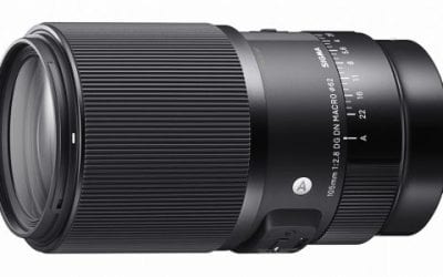 Sigma 105mm F2.8 DG DN Macro For L-Mount And Sony E-Mount