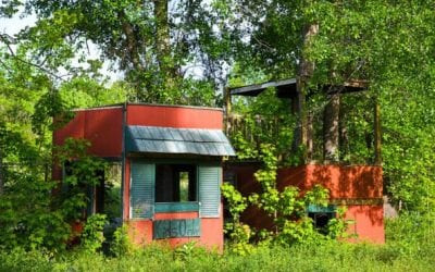 South Dakota Teen Sets Up in Kid’s Playhouse, Takes Down Goat-Killing Mountain Lion