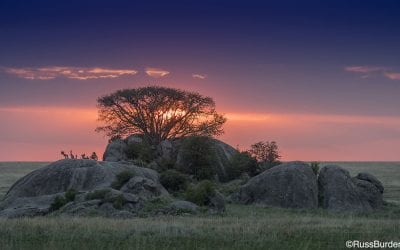 The Guiding Light, Part 2: Backlight