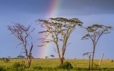 The Guiding Light, Part 4: Dramatic Light