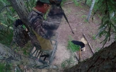 Tim Wells, a Legend with Sticks and String, Lets ‘Er Fly in This Incredible Video