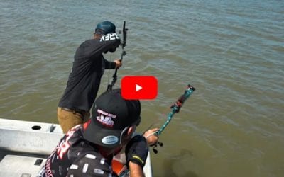 Tim Wells Channels His Inner “Quint” on Shark Bowfishing Adventure