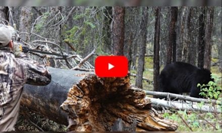 Tim Wells Successfully Harvests a Black Bear Using a Blowgun