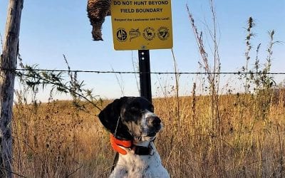 Tons of Tips for Hunting Public Lands