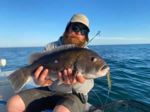 Rob Taylor - Big Tautog