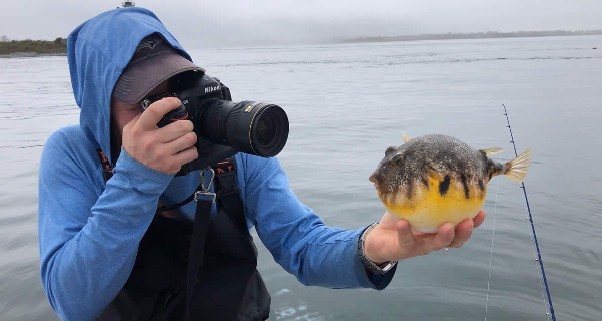 Going crab-less for tautog