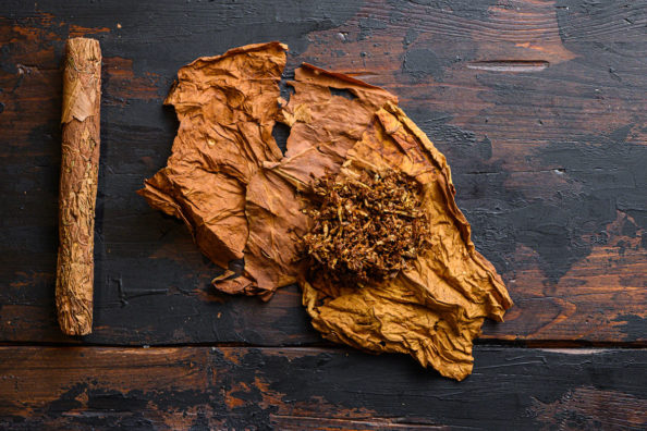 4 Uses for Tobacco in a Survival Situation