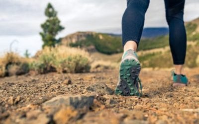 6 Best Hiking Leggings of 2021 for Women: Year-Round and Winter Hiking