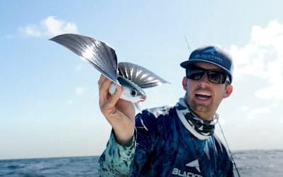 Angling for Flying Fish Makes for a Unique Experience in Florida
