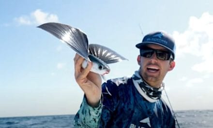 Angling for Flying Fish Makes for a Unique Experience in Florida