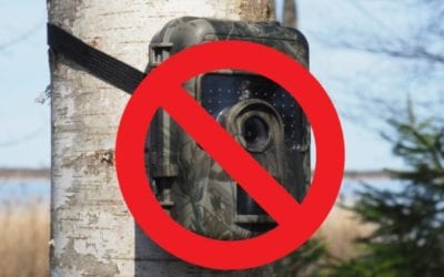 Arizona Finalizes Complete Trail Camera Ban Starting in 2022